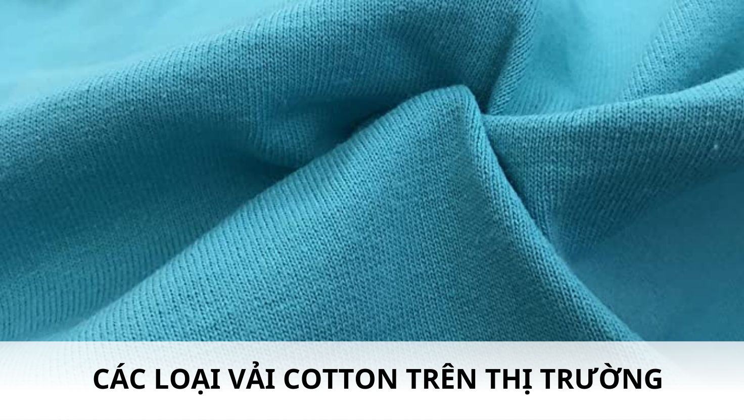 Tổng Hợp Các Loại Vải Cotton Hiện Nay Trên Thị trường